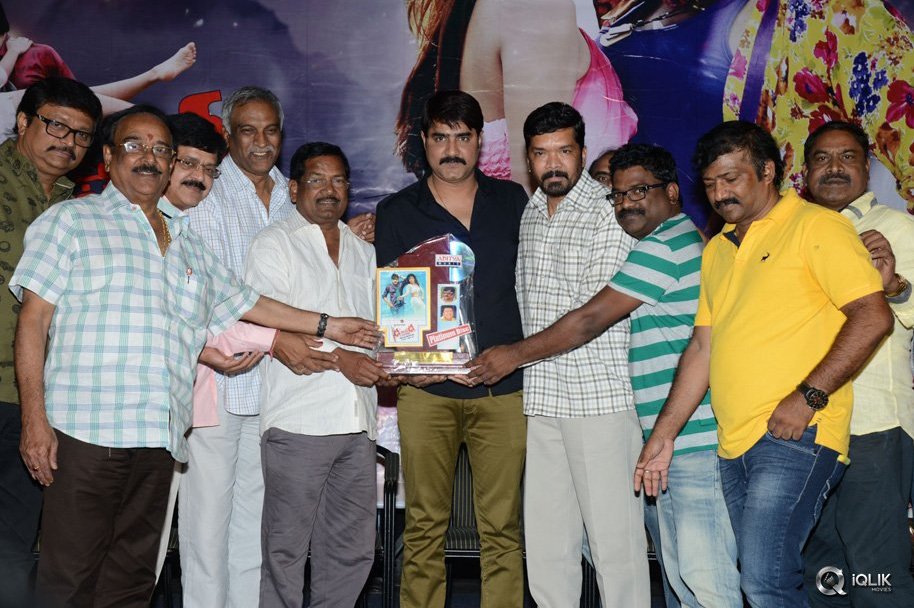 Dhee-Ante-Dhee-Movie-Platinum-Disc-Function